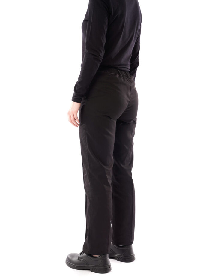 Benchmark T24 - Ladies Classic Work Trouser, rear view